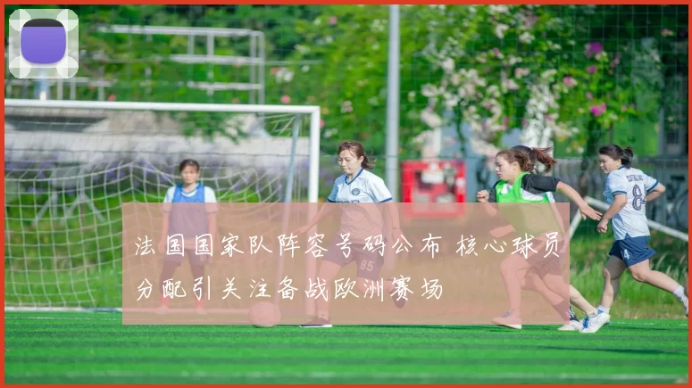 法国国家队阵容号码公布 核心球员分配引关注备战欧洲赛场