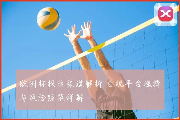 欧洲杯投注渠道解析 合规平台选择与风险防范详解