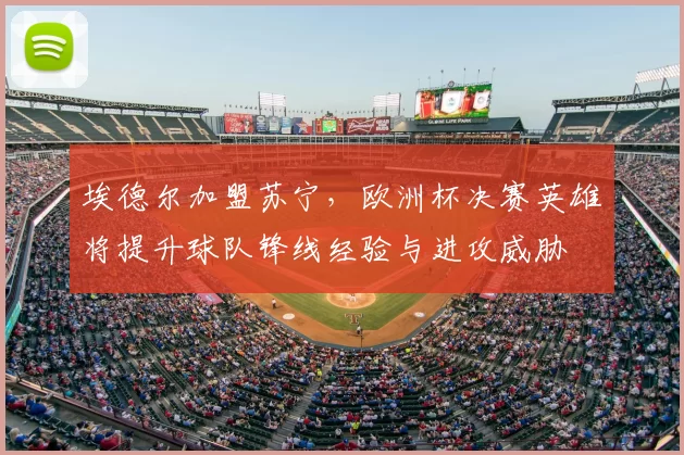 埃德尔加盟苏宁，欧洲杯决赛英雄将提升球队锋线经验与进攻威胁