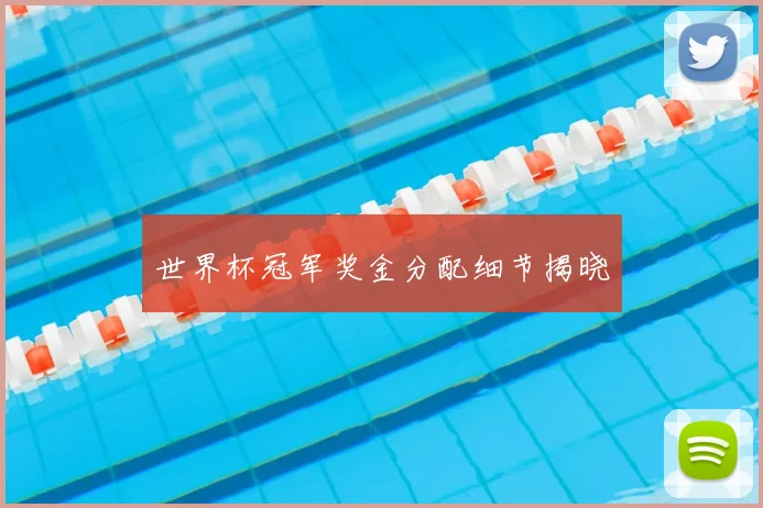世界杯冠军奖金分配细节揭晓