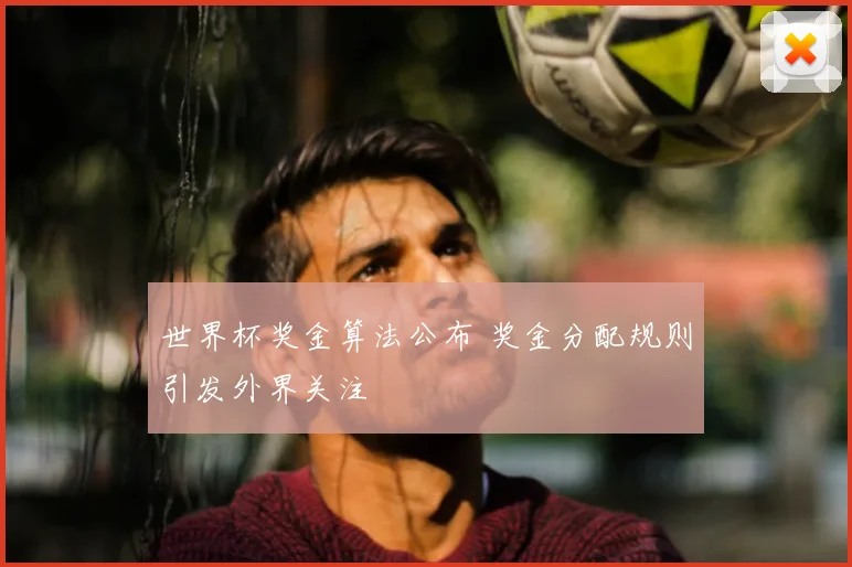 世界杯奖金算法公布 奖金分配规则引发外界关注