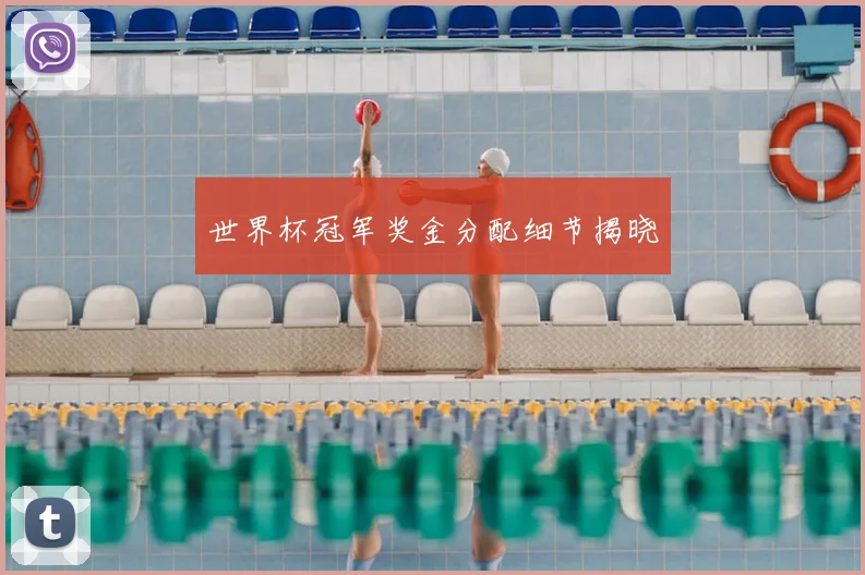 世界杯冠军奖金分配细节揭晓