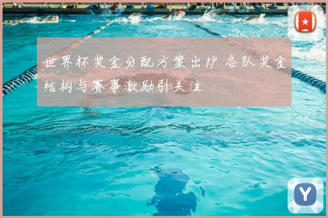世界杯奖金分配方案出炉 各队奖金结构与赛事激励引关注
