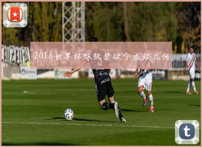 2016世界杯球队禁欲令成效几何